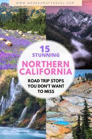 the perfect norcal road trip itinerary