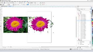 how to make clipart from a photo