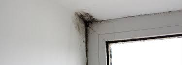 How To Detect Mold Behind Your Drywall