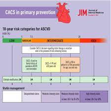 coronary artery calcium scoring an