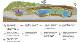 Treatment Wetlands Planning And Design Department Of