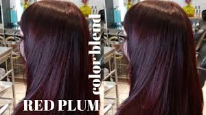 A plum hair color is a more lustrous shade of purple with slight tinges of brown that's inspired by the color of plum fruit. Red Plum Color Blend Nvenn Hair And Beauty