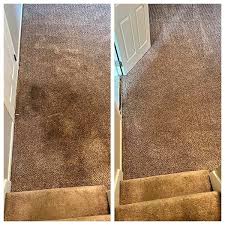 1 for carpet cleaning in gardner with