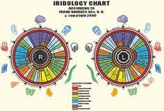 81 Best Iridology Images Iridology Chart Alternative