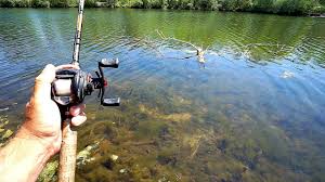 Fishing freedom begins with us. Ultra Clear Pond Fishing For Spawning Bass Youtube