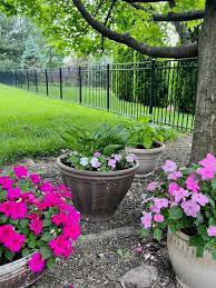 Easy Backyard Container Garden Ideas