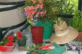 Gardening Horticulture Courses