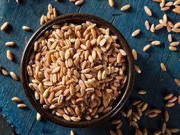 healthy and nutritious ancient grain