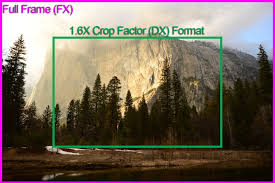 full frame vs crop sensor camera all