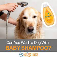 It depends upon your dog as well as the type of shampoo. Can You Use Baby Shampoo On A Dog Quick Answer