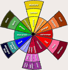 Color Color Wheel