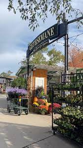Annuals Gethsemane Garden Center