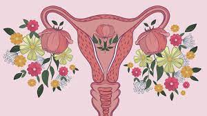 Know some important things about your vagina - जानिए अपनी योनि के बारे में  कुछ महत्वपूर्ण बातें | HealthShots Hindi