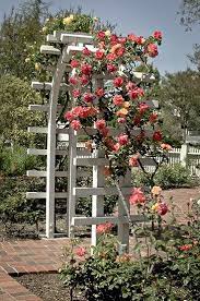It takes up very little space, which is perfect next to walkways or on the side of the house. 25 Awesome Garden Trellis Ideas Trees Com