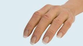 Image result for artificial finger