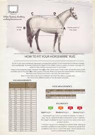 how to mere your horse for a rug