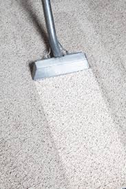 daisy carpet cleaning nextdoor