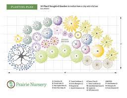 Native Plants Prairie Nursery