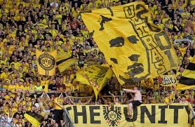 borussia dortmund ink deal with oki