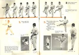 Be sure to read the definition of the steps at the end while. Https Www Karate Klub Prevalje Si Mojprostor Karate Kata Heian 2 Heian 3 Optimirano Pdf