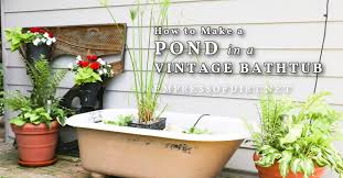 How To Make A Garden Pond In An Old Bathtub
