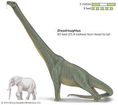 Titanosaurs 8 Of The Worlds Biggest Dinosaurs Britannica