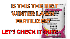 great winter lawn fertilizer for st