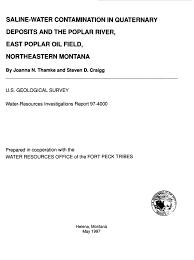 Pdf Saline Water Contamination In Quaternary Deposits And