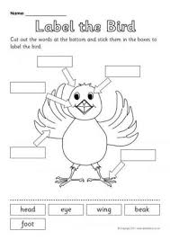 Body parts english worksheets for kids and teachers special to learning body parts words. Animal Features Printables For Primary School Sparklebox