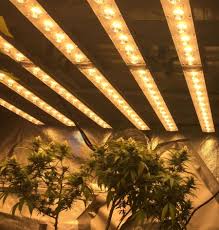 are led grow lights for cans a good