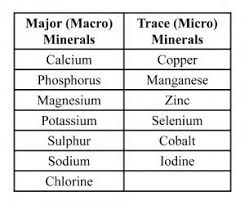 Major And Trace Mineral Chart The Top 10 Reasons You Need A