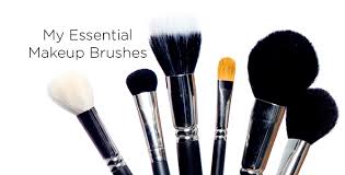 my everyday essential makeup brushes