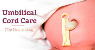 umbilical cord in newborns how to care