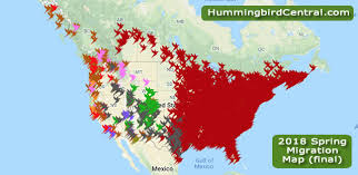 2018 Hummingbird Spring Migration Map 2018 Hummingbird