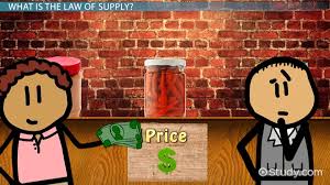 Law Of Supply Definition Principle