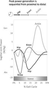 A Little Bit Faster Lower Extremity Joint Kinematics And