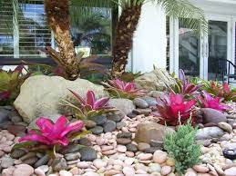 Tropical Backyard Landscaping Florida