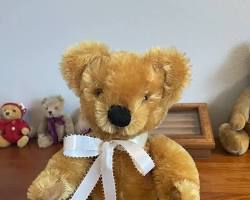 teddy bear in good condition 