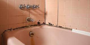 How To Prevent Bathroom Mold From