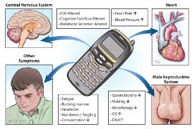 cellular phone usage on the human body