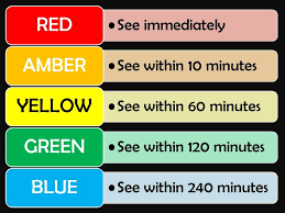 A triage tag is a tool first responders and medical personnel use during a mass casualty incident. Ed Triage Colors Google Search Color Eyeshadow 10 Things