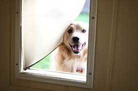 Dog Doors For Sliding Glass Doors