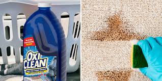 5 best carpet stain removers reviews of