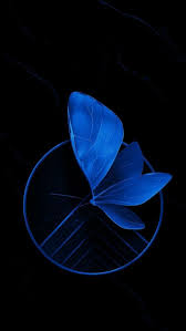 Find the best blue butterfly hd wallpaper on getwallpapers. Wallpaper Blue Butterfly Black Background