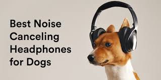 Noise Canceling Headphones For Dogs