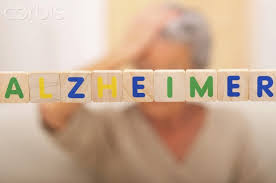 Resultado de imagem para remedios para alzheimer