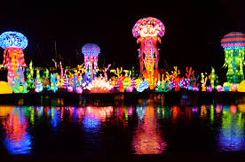 the wild chinese lantern festival will