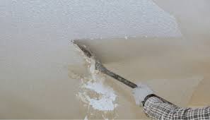 Our Process Textured Ceiling Removal