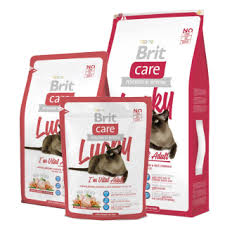 Hello, would you recommend me a suitable food for a young 6m. Brit Care Cat Food Lucky I M Vital Adult Best Quality Pet Supplies Pet Food Petsxyz