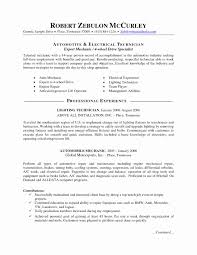 9 Sample Resume For Computer Technician Payment Format